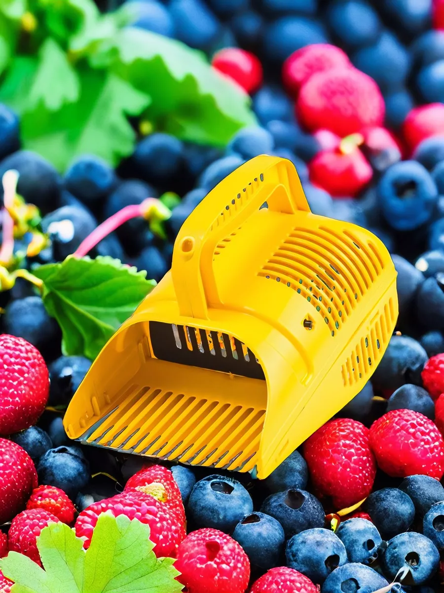 Плодосборник для ягод на фоне ягод