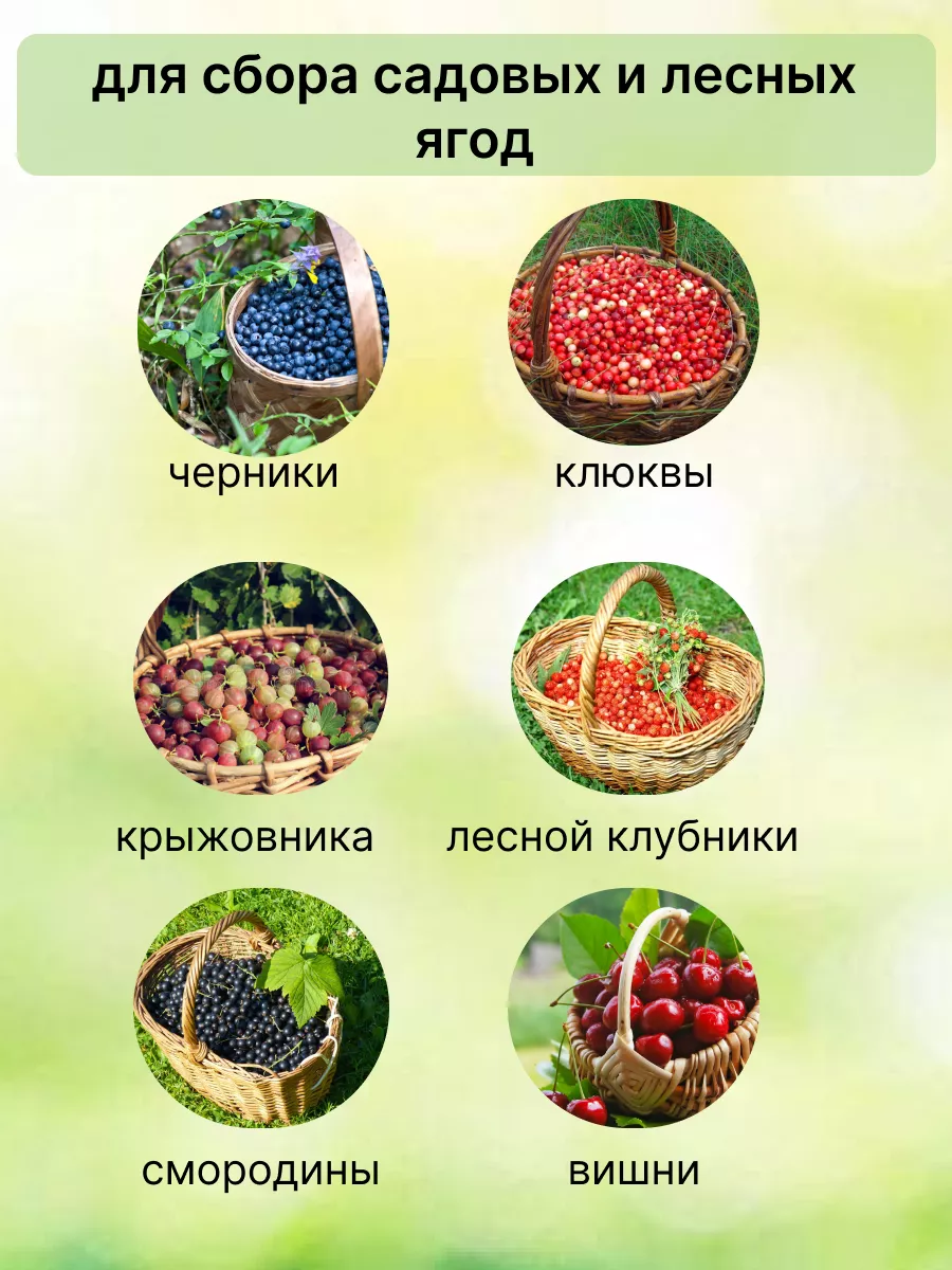 Плодосборник подходит для разных видов садовых и лесных ягод